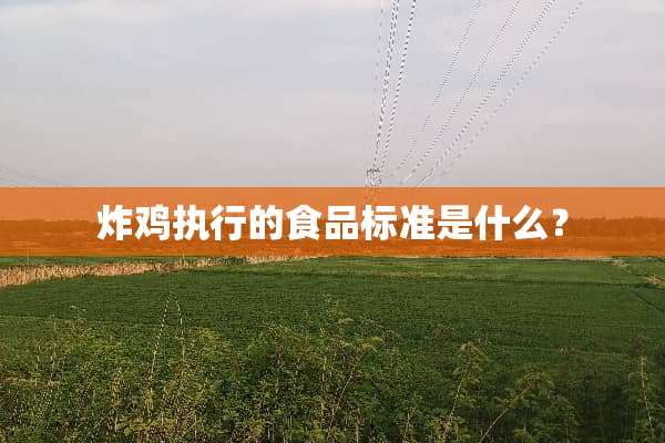 炸鸡执行的食品标准是什么？