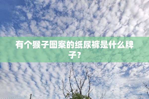 有个猴子图案的纸尿裤是什么牌子？