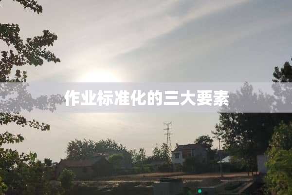 作业标准化的三大要素