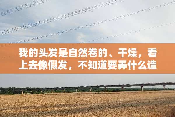 我的头发是自然卷的、干燥，看上去像假发，不知道要弄什么造型？