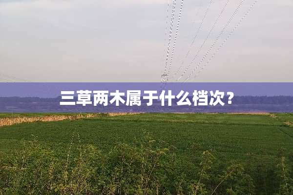 三草两木属于什么档次？