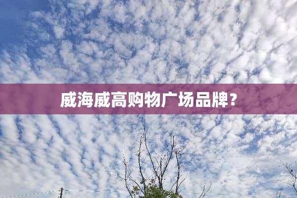 威海威高购物广场品牌？
