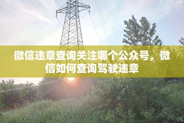 微信违章查询关注哪个公众号，微信如何查询驾驶违章
