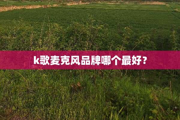 k歌麦克风品牌哪个最好？