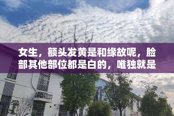 女生，额头发黄是和缘故呢，脸部其他部位都是白的，唯独就是额头黄。大神求解？