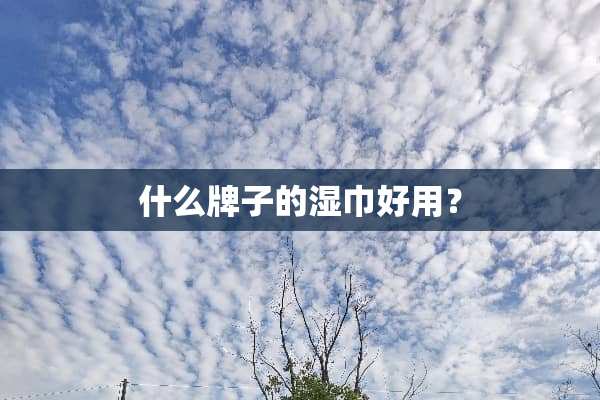 什么牌子的湿巾好用？
