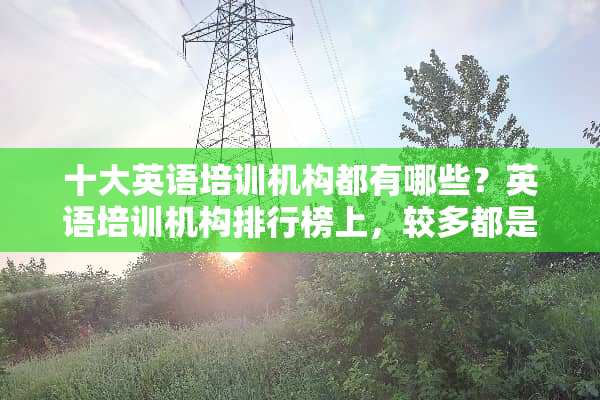 十大英语培训机构都有哪些？英语培训机构排行榜上，较多都是阿卡索