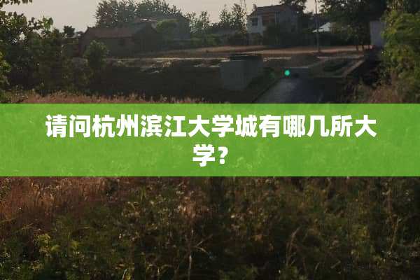 请问杭州滨江大学城有哪几所大学？