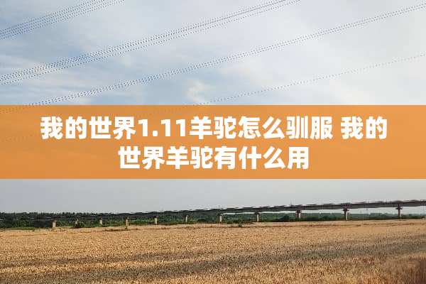 我的世界1.11羊驼怎么驯服 我的世界羊驼有什么用