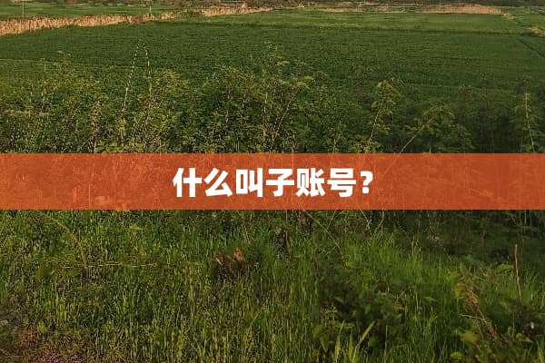 什么叫子账号？