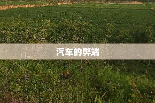 汽车的弊端