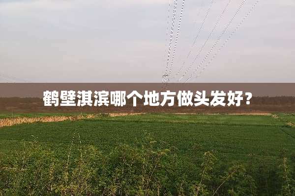 鹤壁淇滨哪个地方做头发好？