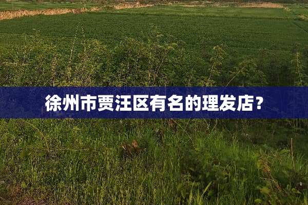 徐州市贾汪区有名的理发店？