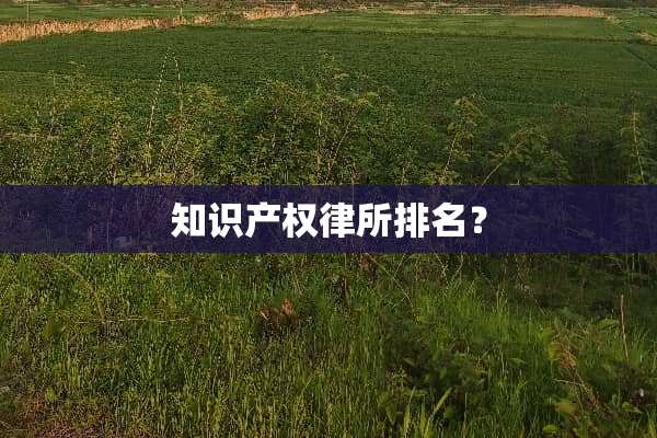 知识产权律所排名？