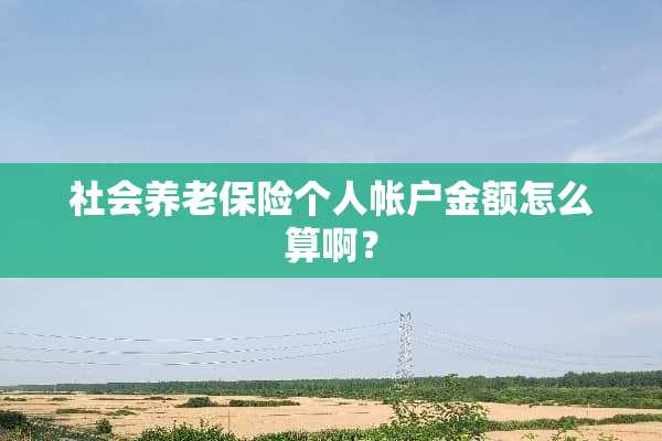 社会养老保险个人帐户金额怎么算啊？