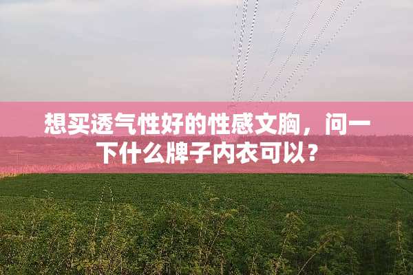 想买透气性好的**文胸，问一下什么牌子**可以？