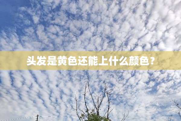 头发是黄色还能上什么颜色？