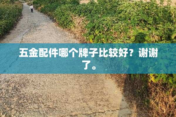五金配件哪个牌子比较好？谢谢了。