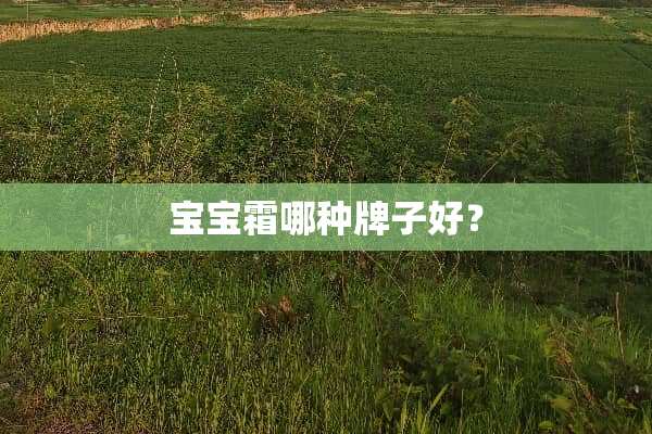 宝宝霜哪种牌子好？