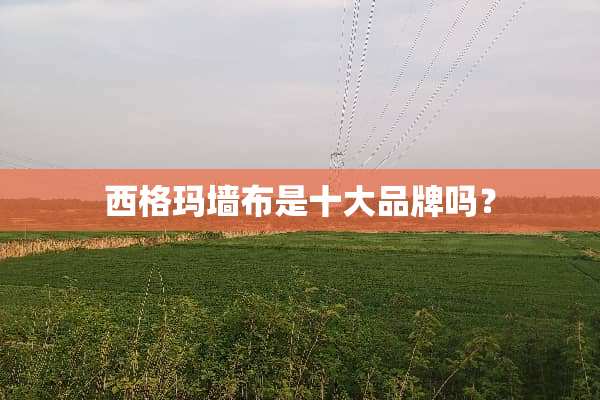 西格玛墙布是十大品牌吗？