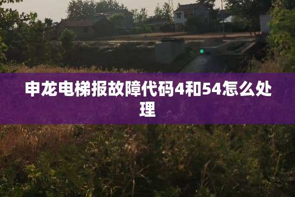 申龙电梯报故障代码4和54怎么处理