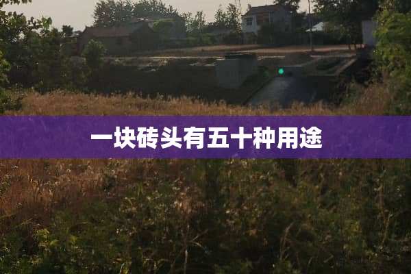 一块砖头有五十种用途