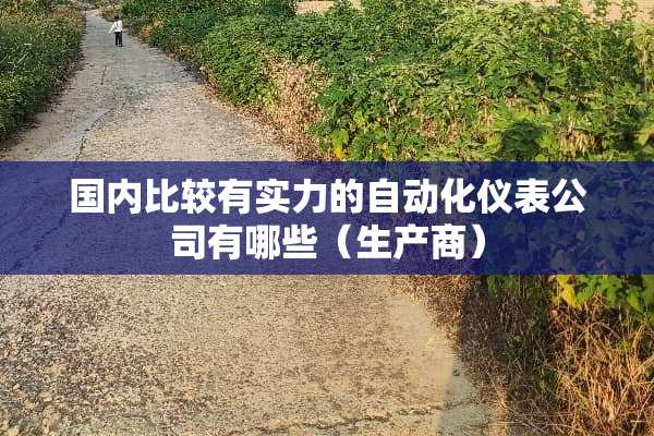 国内比较有实力的自动化仪表公司有哪些（生产商）