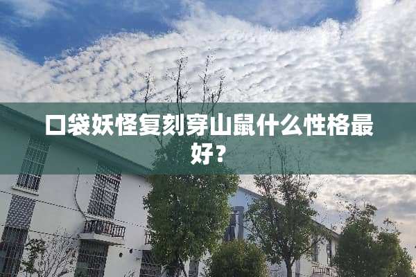 口袋妖怪复刻穿山鼠什么性格最好？