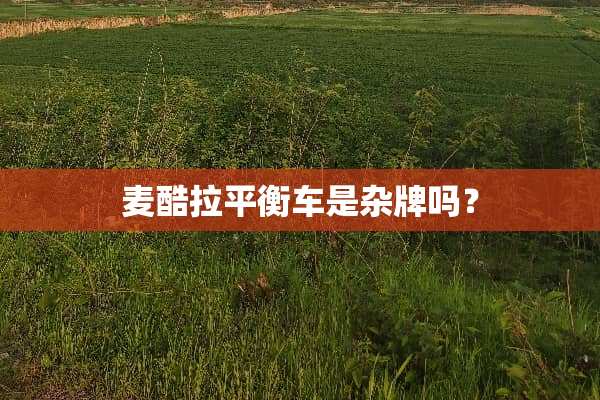 麦酷拉平衡车是杂牌吗？
