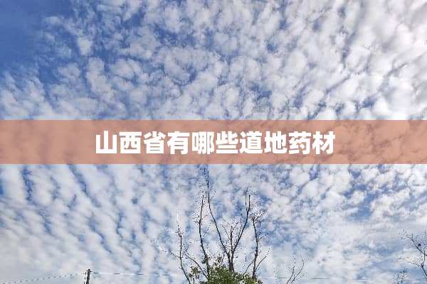 山西省有哪些道地药材