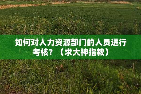 如何对人力资源部门的人员进行考核？（求大神指教）