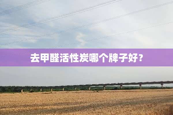 去甲醛活性炭哪个牌子好？