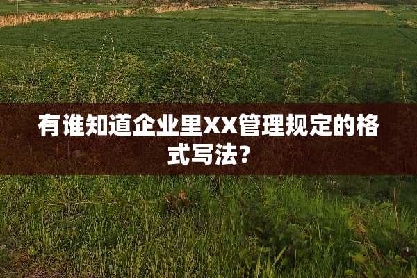 有谁知道企业里XX管理规定的格式写法？