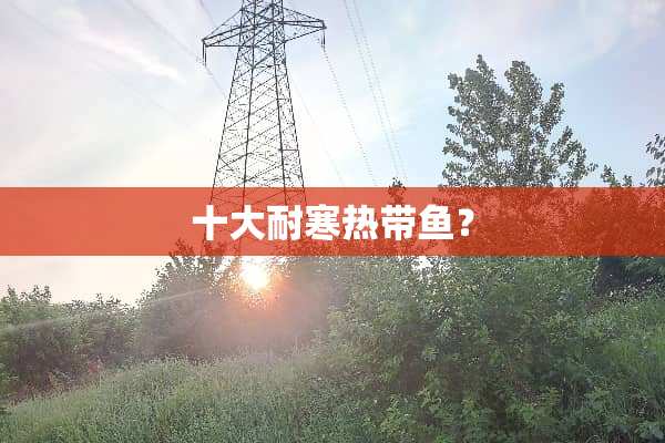 十大耐寒热带鱼？