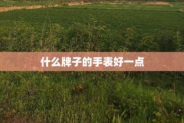 什么牌子的手表好一点