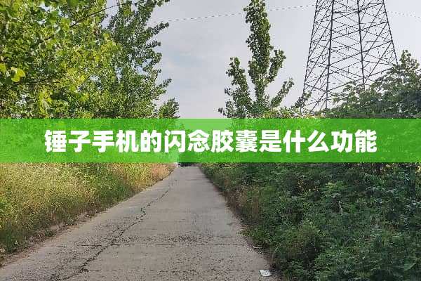 锤子手机的闪念胶囊是什么功能