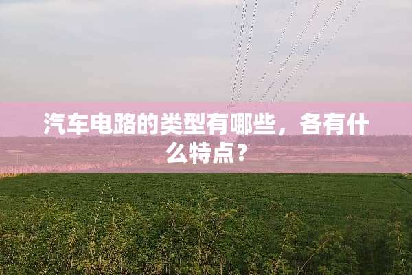 汽车电路的类型有哪些，各有什么特点？