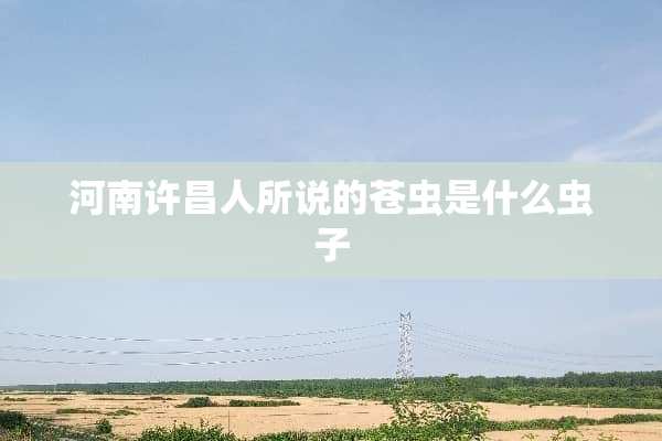 河南许昌人所说的苍虫是什么虫子