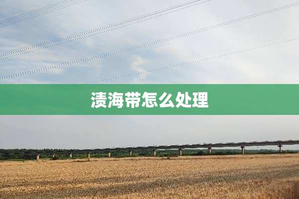 渍海带怎么处理