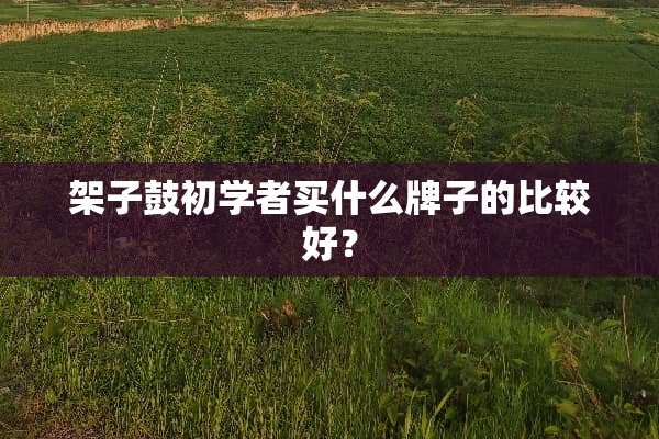架子鼓初学者买什么牌子的比较好？