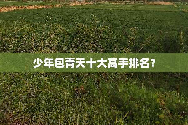 少年包青天十大高手排名？