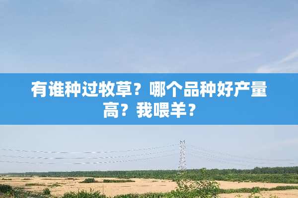 有谁种过牧草？哪个品种好产量高？我喂羊？