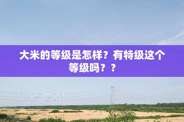大米的等级是怎样？有特级这个等级吗？？
