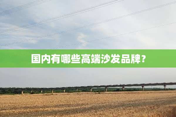 国内有哪些高端沙发品牌？