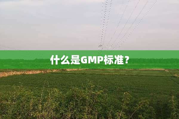 什么是GMP标准？