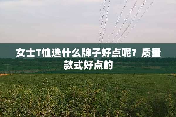 女士T恤选什么牌子好点呢？质量款式好点的