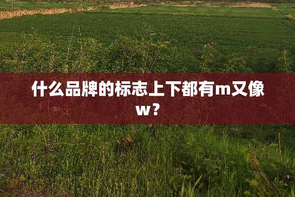 什么品牌的标志上下都有m又像w？