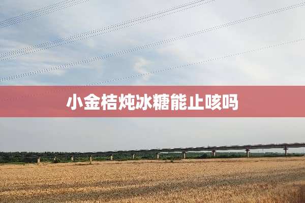小金桔炖冰糖能止咳吗