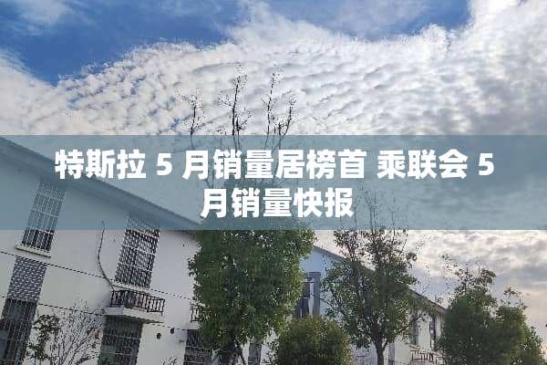 特斯拉 5 月销量居榜首 乘联会 5 月销量快报