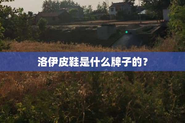 洛伊皮鞋是什么牌子的？